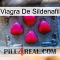 Sildenafil Viagra 13